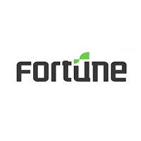 Fortune Semicon